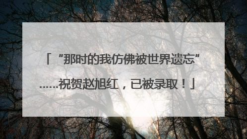 “那时的我仿佛被世界遗忘”……祝贺赵旭红，已被录取！