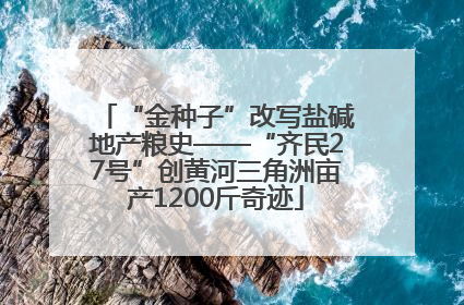 “金种子”改写盐碱地产粮史——“齐民27号”创黄河三角洲亩产1200斤奇迹