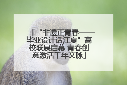 “非遗正青春——毕业设计话江夏”高校联展启幕 青春创意激活千年文脉