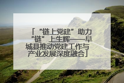 “链上党建”助力“链”上生辉——阜城县推动党建工作与产业发展深度融合