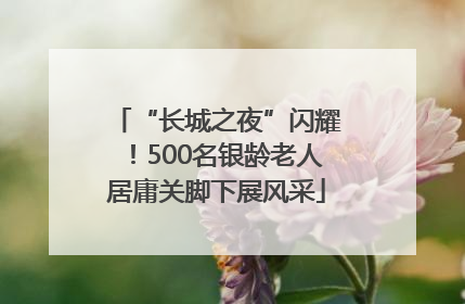 “长城之夜”闪耀！500名银龄老人居庸关脚下展风采