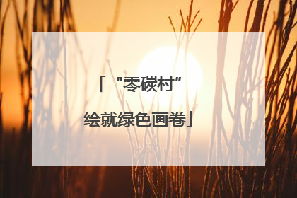 “零碳村” 绘就绿色画卷