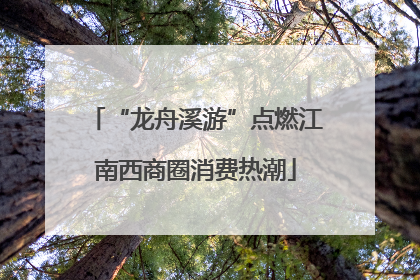 “龙舟溪游”点燃江南西商圈消费热潮