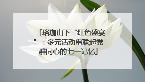 珞珈山下“红色盛宴”：多元活动串联起党群同心的七一记忆