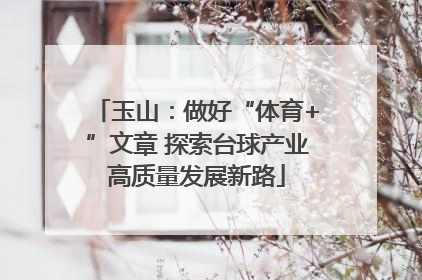 玉山：做好“体育+”文章 探索台球产业高质量发展新路