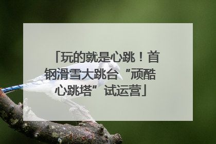 玩的就是心跳！首钢滑雪大跳台“顽酷心跳塔”试运营