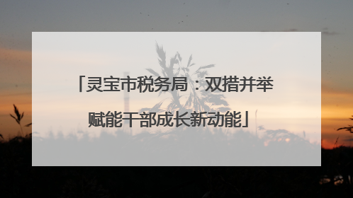 灵宝市税务局：双措并举 赋能干部成长新动能