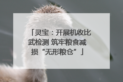 灵宝：开展机收比武检测 筑牢粮食减损“无形粮仓”