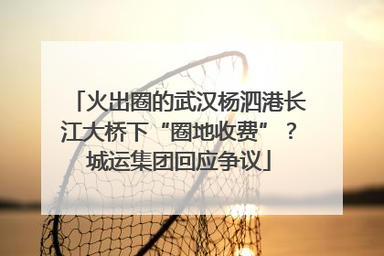 火出圈的武汉杨泗港长江大桥下“圈地收费”？城运集团回应争议