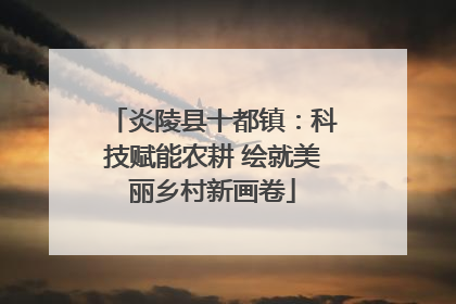 炎陵县十都镇：科技赋能农耕 绘就美丽乡村新画卷