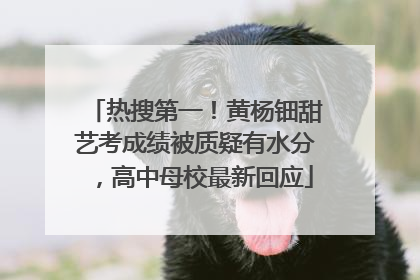 热搜第一！黄杨钿甜艺考成绩被质疑有水分，高中母校最新回应