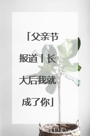 父亲节报道丨长大后我就成了你