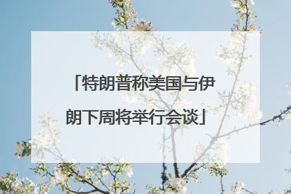 特朗普称美国与伊朗下周将举行会谈
