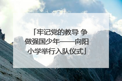 牢记党的教导 争做强国少年——向阳小学举行入队仪式