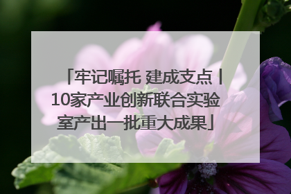 牢记嘱托 建成支点丨10家产业创新联合实验室产出一批重大成果