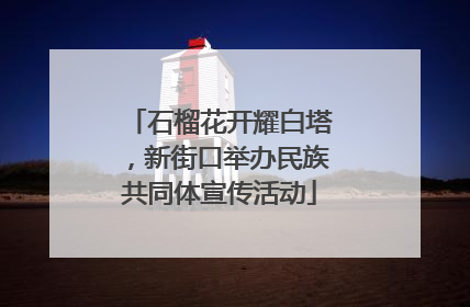 石榴花开耀白塔，新街口举办民族共同体宣传活动
