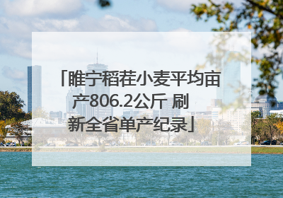 睢宁稻茬小麦平均亩产806.2公斤 刷新全省单产纪录