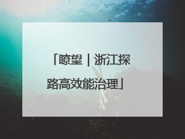 瞭望｜浙江探路高效能治理