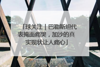 球关注｜巴勒斯坦代表掩面痛哭，加沙的真实现状让人痛心