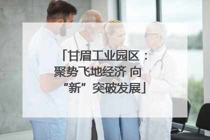 甘眉工业园区：聚势飞地经济 向“新”突破发展