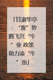 甘肃华亭：“畜”势腾飞兴“牛”业 政策助力添“牛”劲