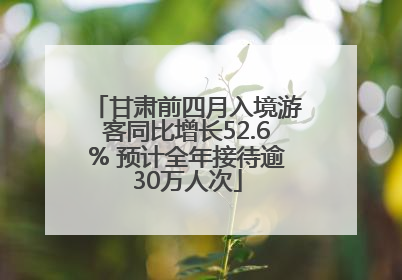 甘肃前四月入境游客同比增长52.6% 预计全年接待逾30万人次