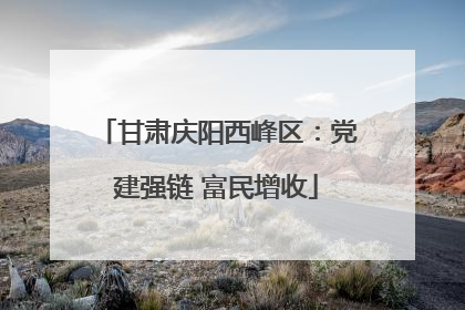 甘肃庆阳西峰区：党建强链 富民增收