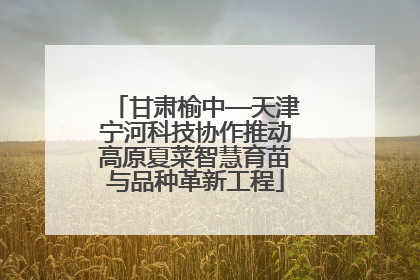 甘肃榆中—天津宁河科技协作推动高原夏菜智慧育苗与品种革新工程