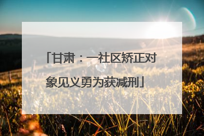 甘肃：一社区矫正对象见义勇为获减刑
