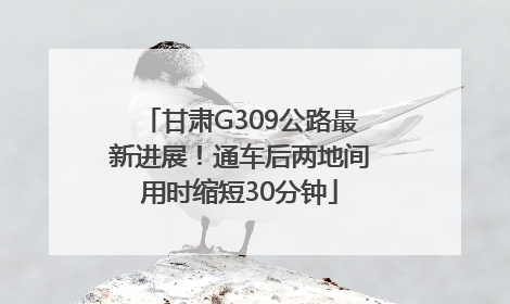 甘肃G309公路最新进展！通车后两地间用时缩短30分钟