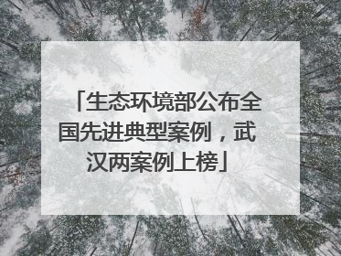 生态环境部公布全国先进典型案例，武汉两案例上榜