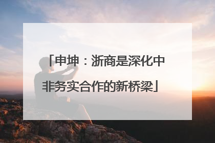 申坤：浙商是深化中非务实合作的新桥梁