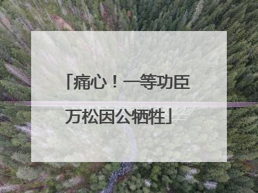 痛心！一等功臣万松因公牺牲