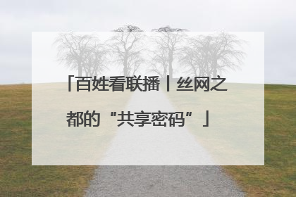 百姓看联播丨丝网之都的“共享密码”