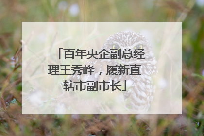 百年央企副总经理王秀峰，履新直辖市副市长