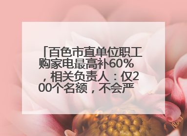 百色市直单位职工购家电最高补60％，相关负责人：仅200个名额，不会严格筛查身份