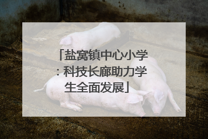 盐窝镇中心小学：科技长廊助力学生全面发展