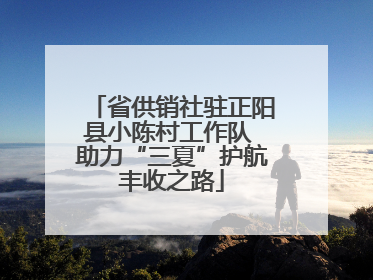 省供销社驻正阳县小陈村工作队 助力“三夏”护航丰收之路