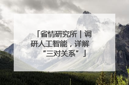省情研究所｜调研人工智能，详解“三对关系”