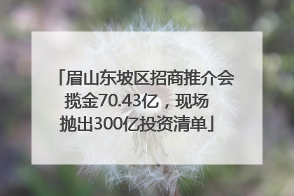 眉山东坡区招商推介会揽金70.43亿，现场抛出300亿投资清单