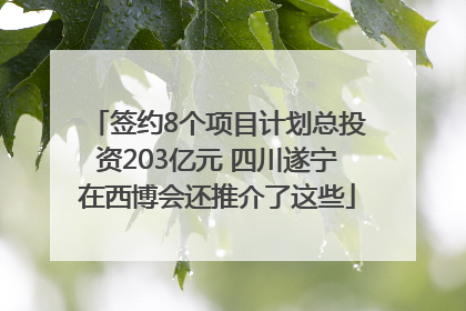 签约8个项目计划总投资203亿元 四川遂宁在西博会还推介了这些
