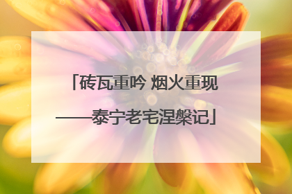 砖瓦重吟 烟火重现——泰宁老宅涅槃记