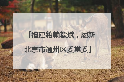 福建籍赖毅斌，履新北京市通州区委常委