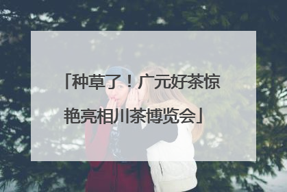 种草了！广元好茶惊艳亮相川茶博览会