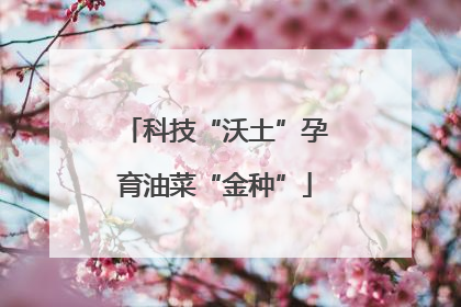 科技“沃土”孕育油菜“金种”