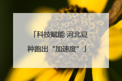 科技赋能 河北夏种跑出“加速度”