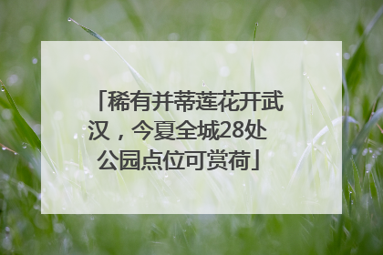 稀有并蒂莲花开武汉，今夏全城28处公园点位可赏荷