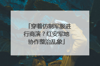 穿着仿制军服进行商演？红安军地协作整治乱象