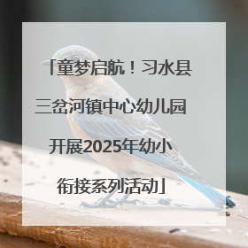 童梦启航！习水县三岔河镇中心幼儿园开展2025年幼小衔接系列活动