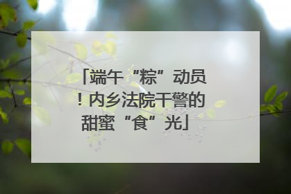 端午“粽”动员！内乡法院干警的甜蜜“食”光